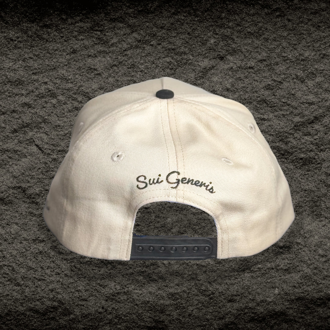 Off-Mat Curved Two-Tone Snapback